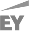 Demand Partners - asserson-client-logo-EY
